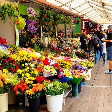 Patio (adults Only) *