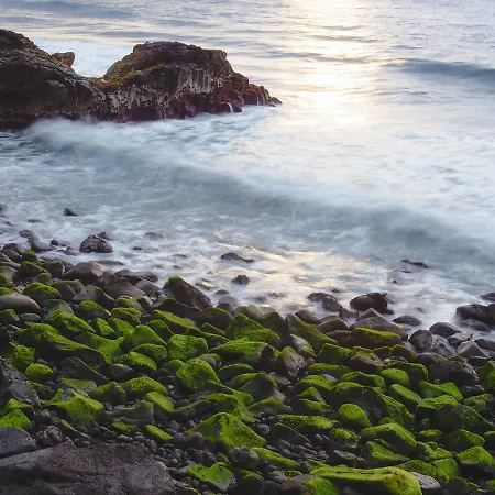 Hostel Patio (adults Only) La Laguna (Tenerife)