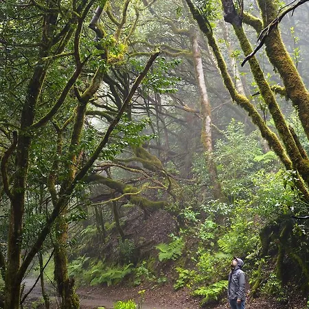 Patio (adults Only) Hostel *