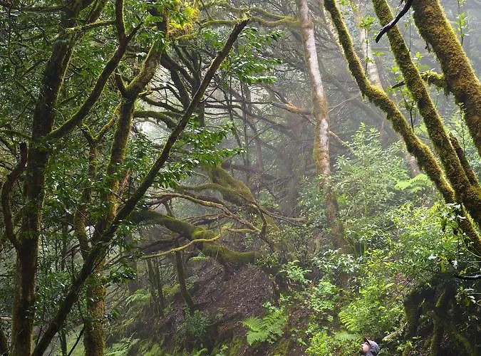 Patio (adults Only) Auberge de jeunesse *