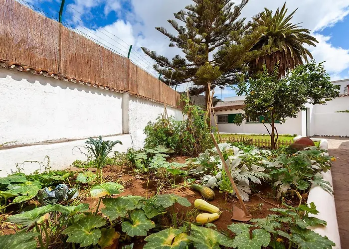 Auberge de jeunesse Patio (adults Only) La Laguna (Tenerife)