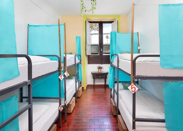 Patio (adults Only) Хостел Сан-Кристобаль-де-Ла-Лагуна