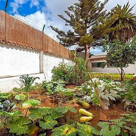 Patio (adults Only) Hostel