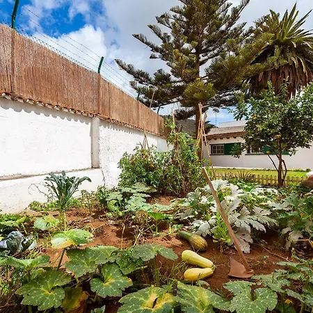 旅馆 Patio (adults Only) 拉拉古纳