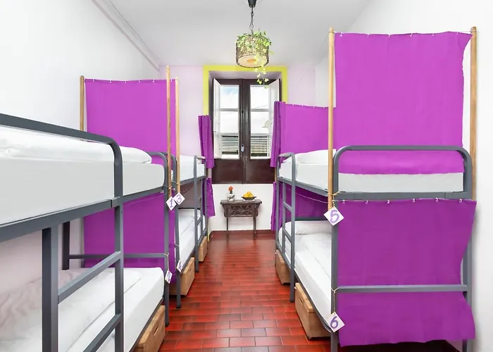 Patio (adults Only) 拉拉古纳