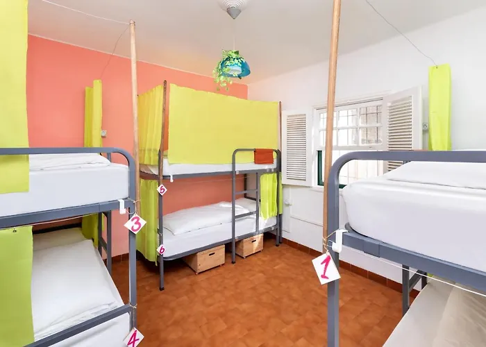 旅馆 Patio (adults Only) *