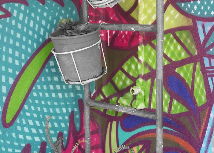 Patio (adults Only) * 拉拉古纳