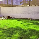 Patio (adults Only) Сан-Кристобаль-де-Ла-Лагуна
